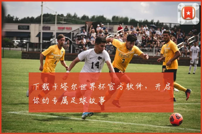 下载卡塔尔世界杯官方软件，开启你的专属足球故事