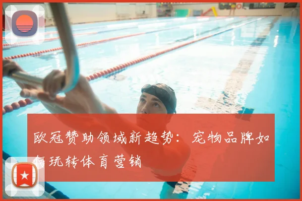 欧冠赞助领域新趋势：宠物品牌如何玩转体育营销