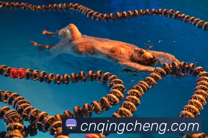 滚球官网app发展历程